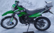 RC300-GY8X Panther 300 green 1