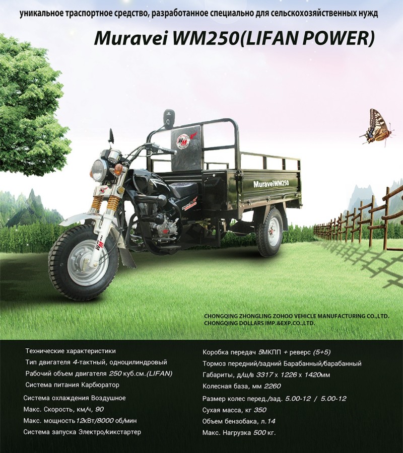 wm250-tricycle-1 (1)